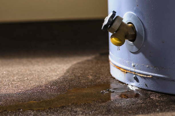 Best Professional water damage repair  in Glenmont, MD