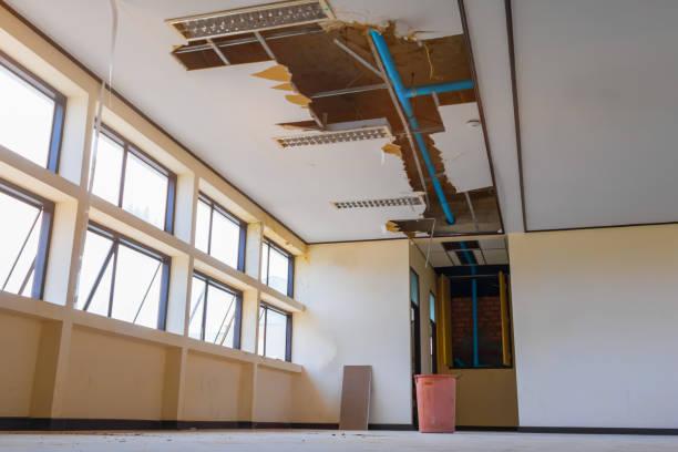 Best Professional water damage repair  in Glenmont, MD