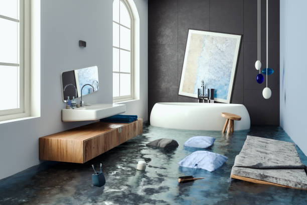 Best Mold removal after water damage  in Glenmont, MD