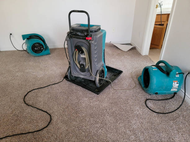 Best Flood restoration services  in Glenmont, MD