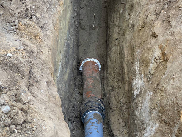 Best Sewage cleanup and water damage restoration  in Glenmont, MD