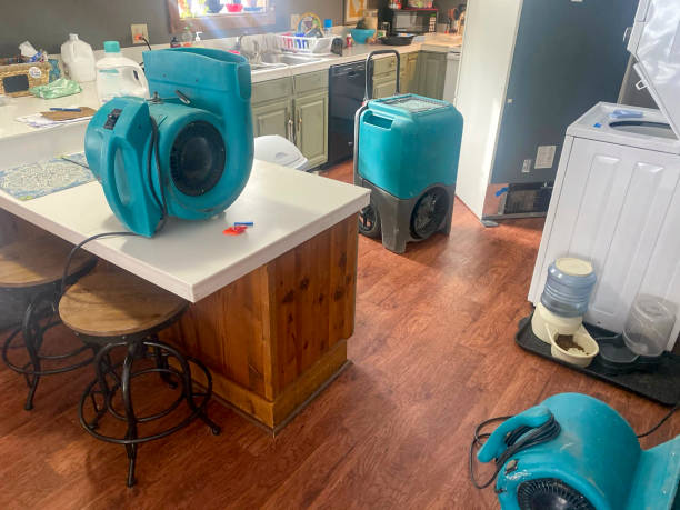 Glenmont, MD Water damage restoration Company