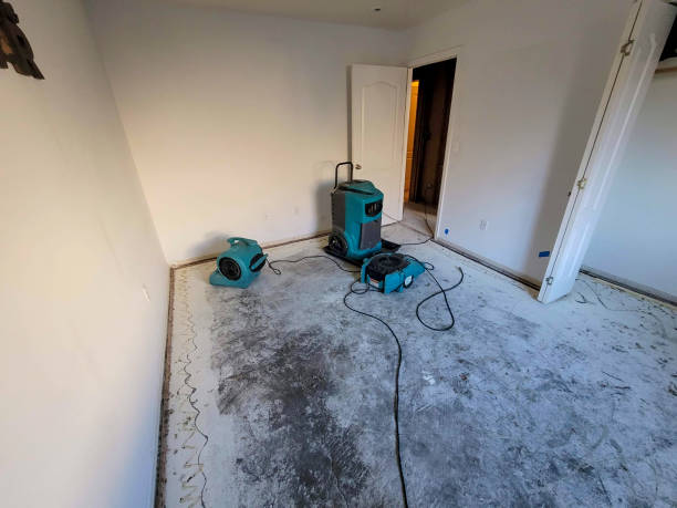 Water damage restoration mold remediation in Glenmont, MD