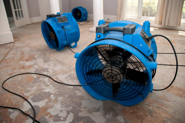 Best Flood restoration services  in Glenmont, MD