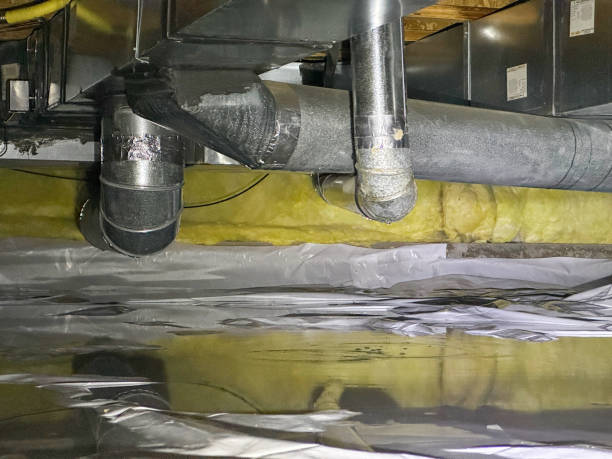 Best Fire Damage Restoration  in Glenmont, MD