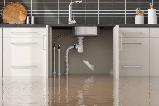 Professional Water damage restoration in Glenmont, MD