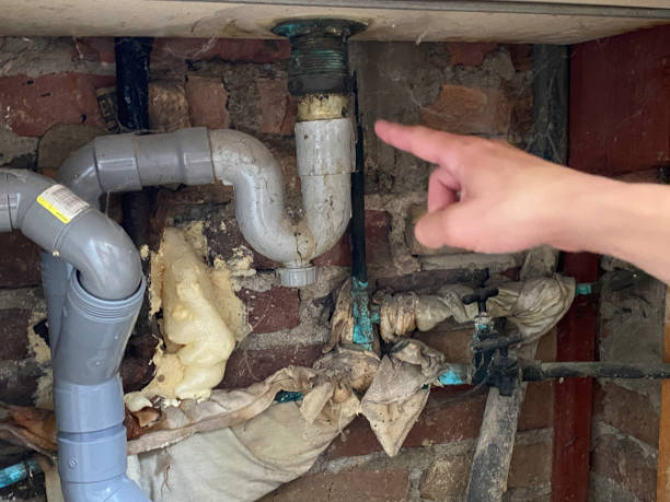 Glenmont, MD Water damage restoration Pros