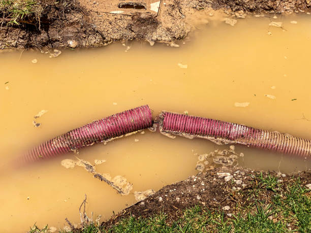 Best 24/7 water damage repair  in Glenmont, MD